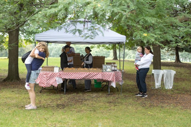 Image 510