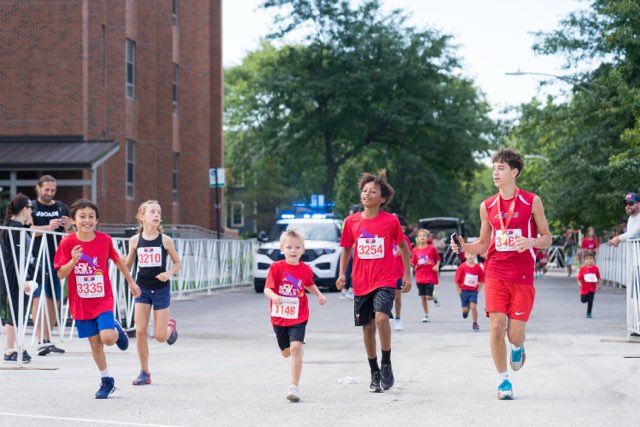Image 85